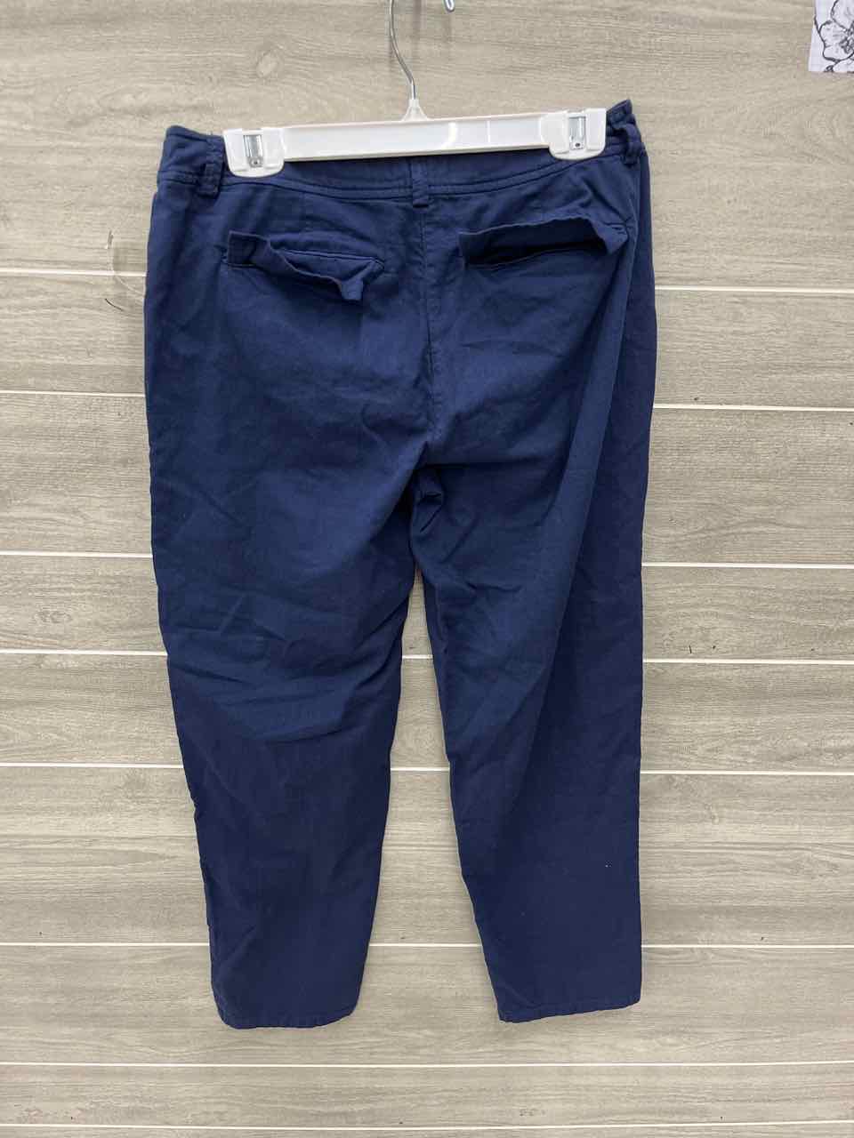 Eileen Fisher Size 6P Blue Petite Pants