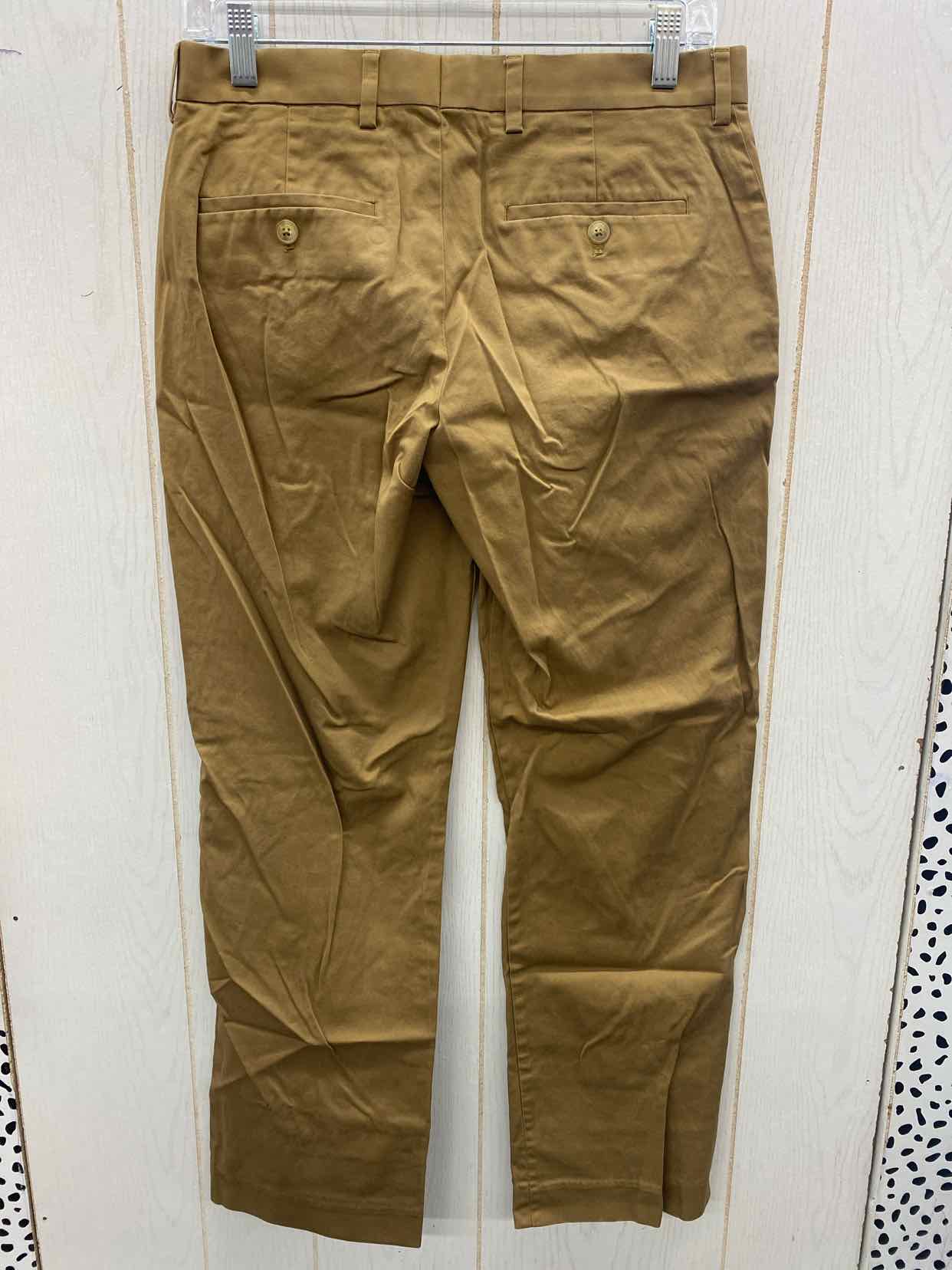 Express Size 29/30 Mens Pants