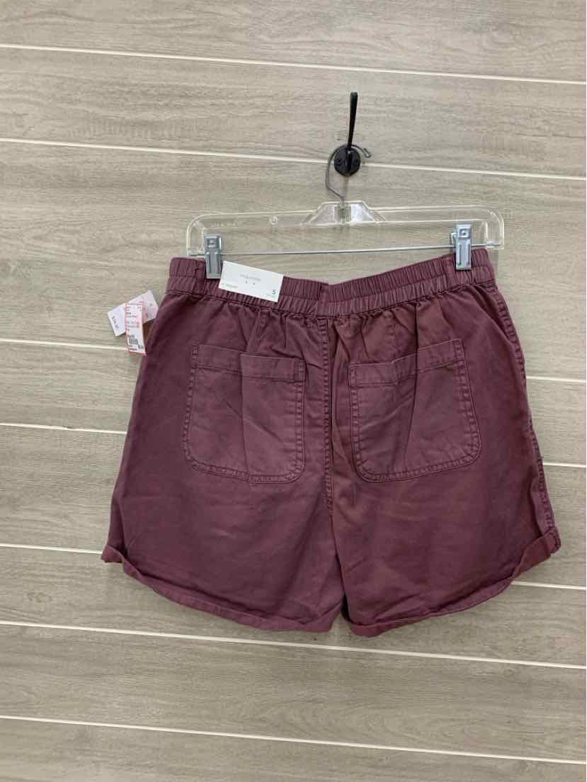 Maurices Burgundy Womens Size 6/8 Shorts