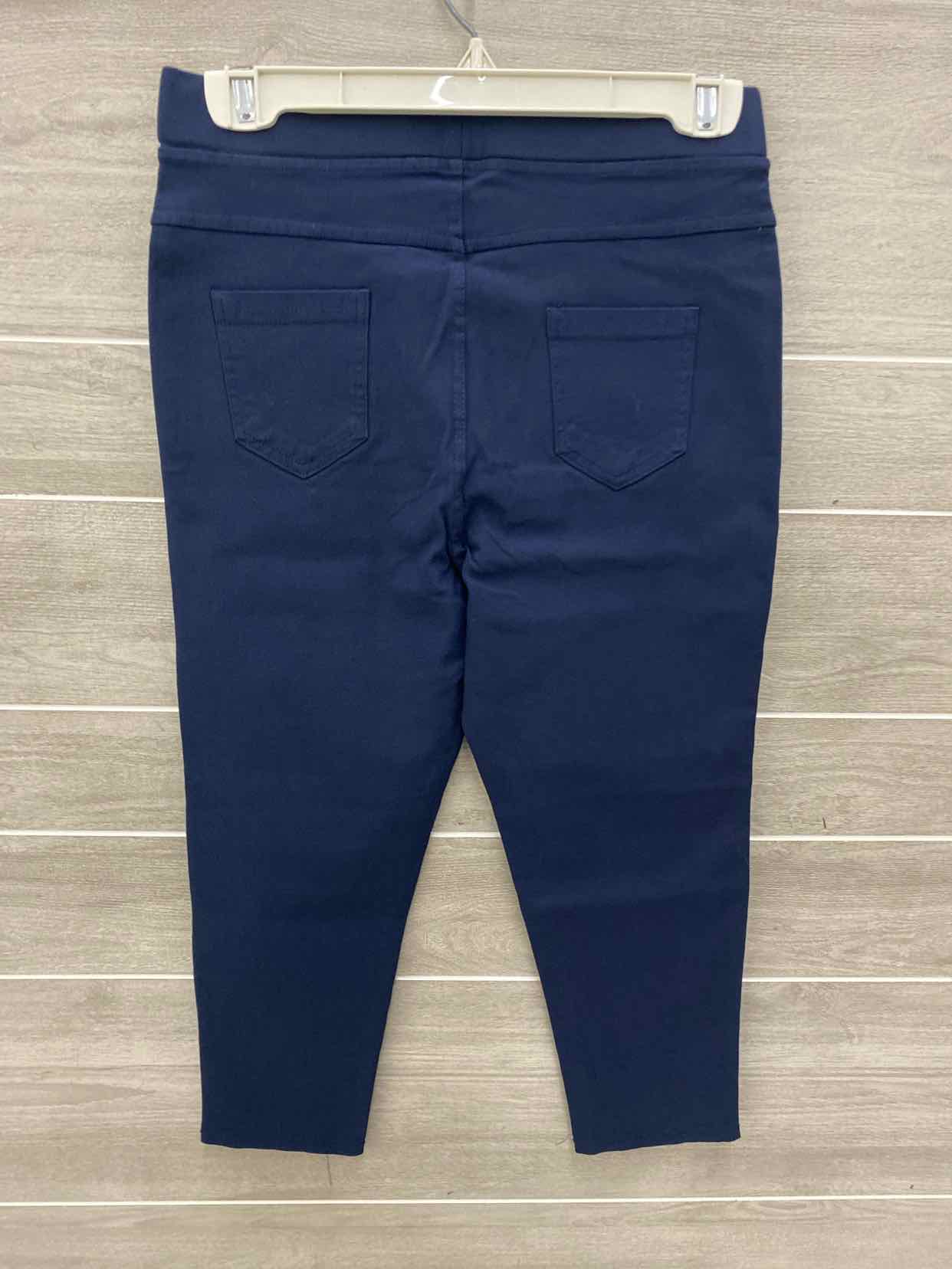 Jvini Navy Womens Size 10 Pants