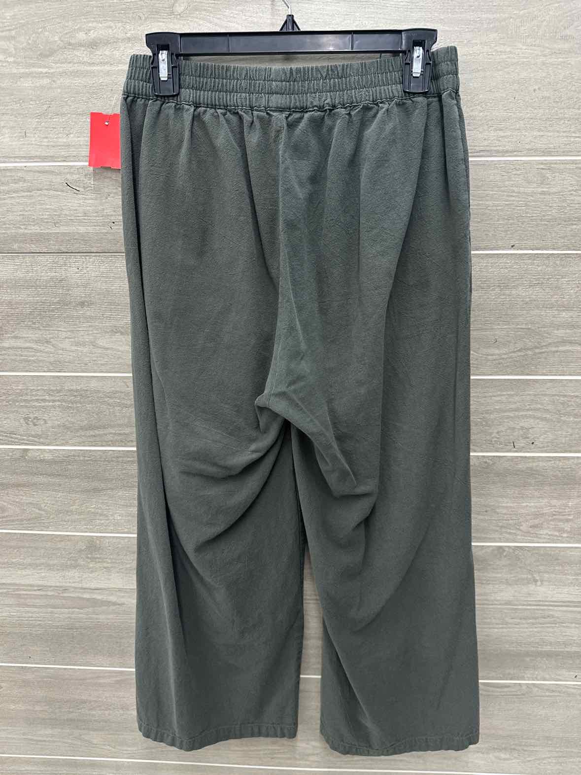 Size 6 Olive Womens Pants