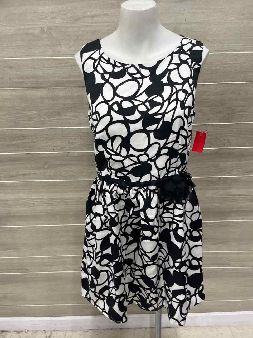 Papillon Size 10 Black Womens Dress