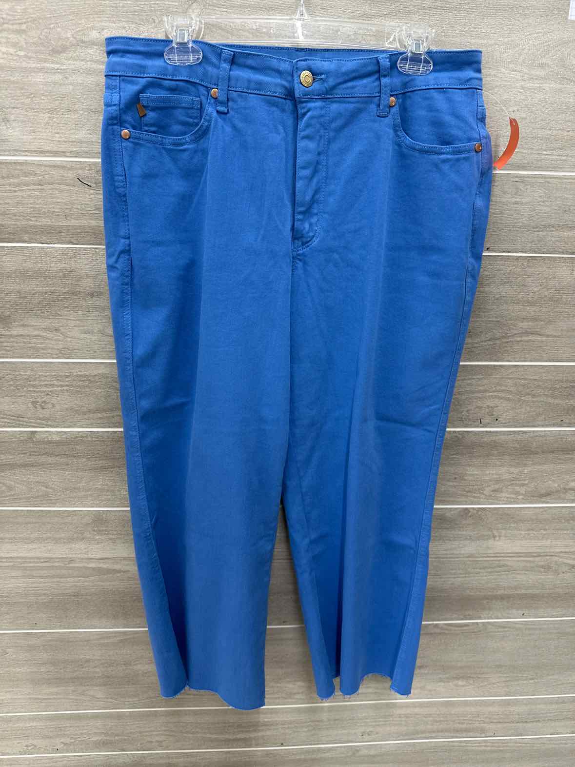 Judy Blue Blue Womens Women Size 14/16 Shorts