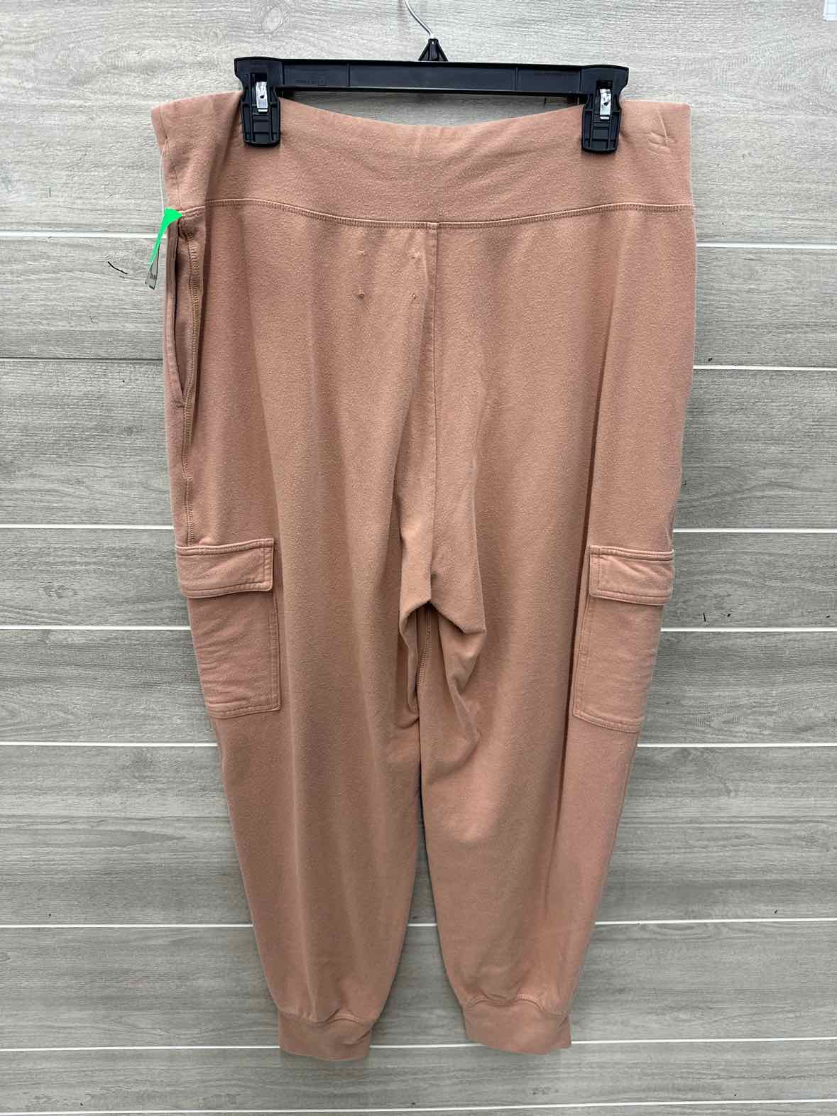 AERIE Size L/XL Tan Womens Pants