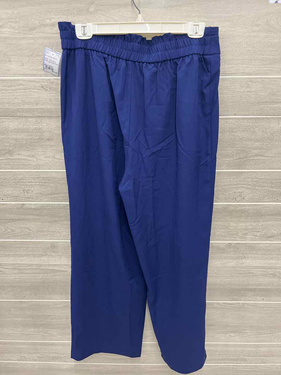 Size 10/12 Blue Womens Pants