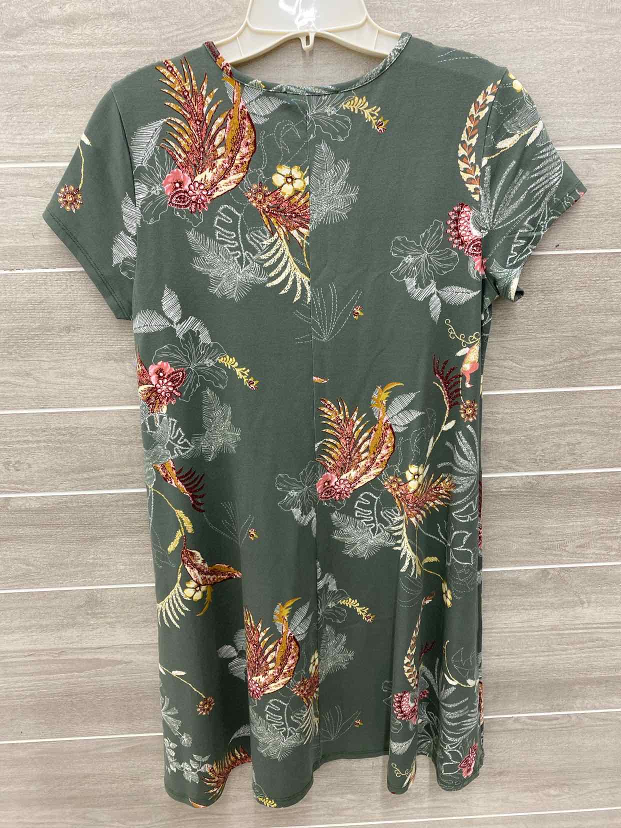 Olive Womens Size 6 Dress