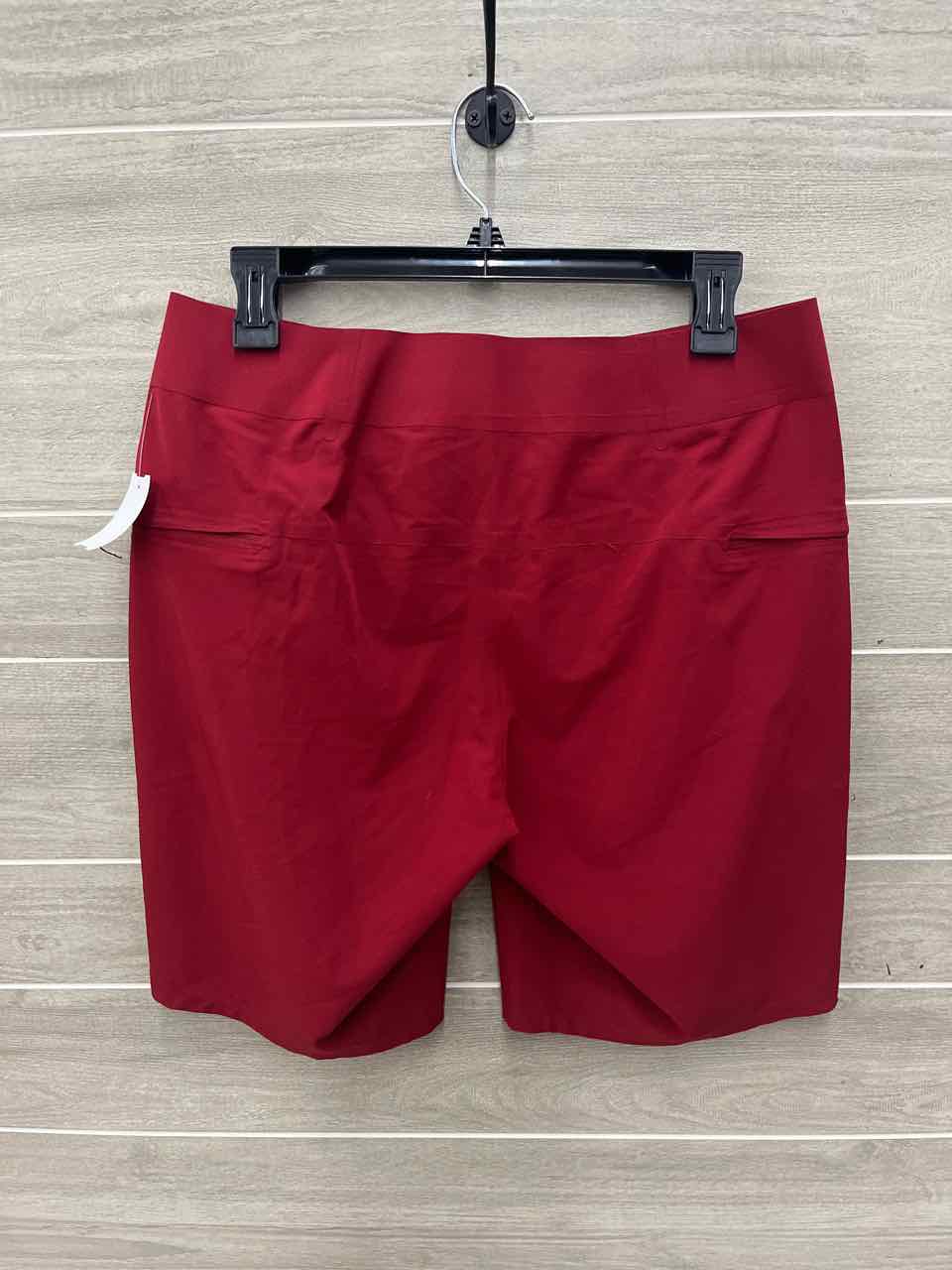 Lululemon Size 30 Men Mens Shorts
