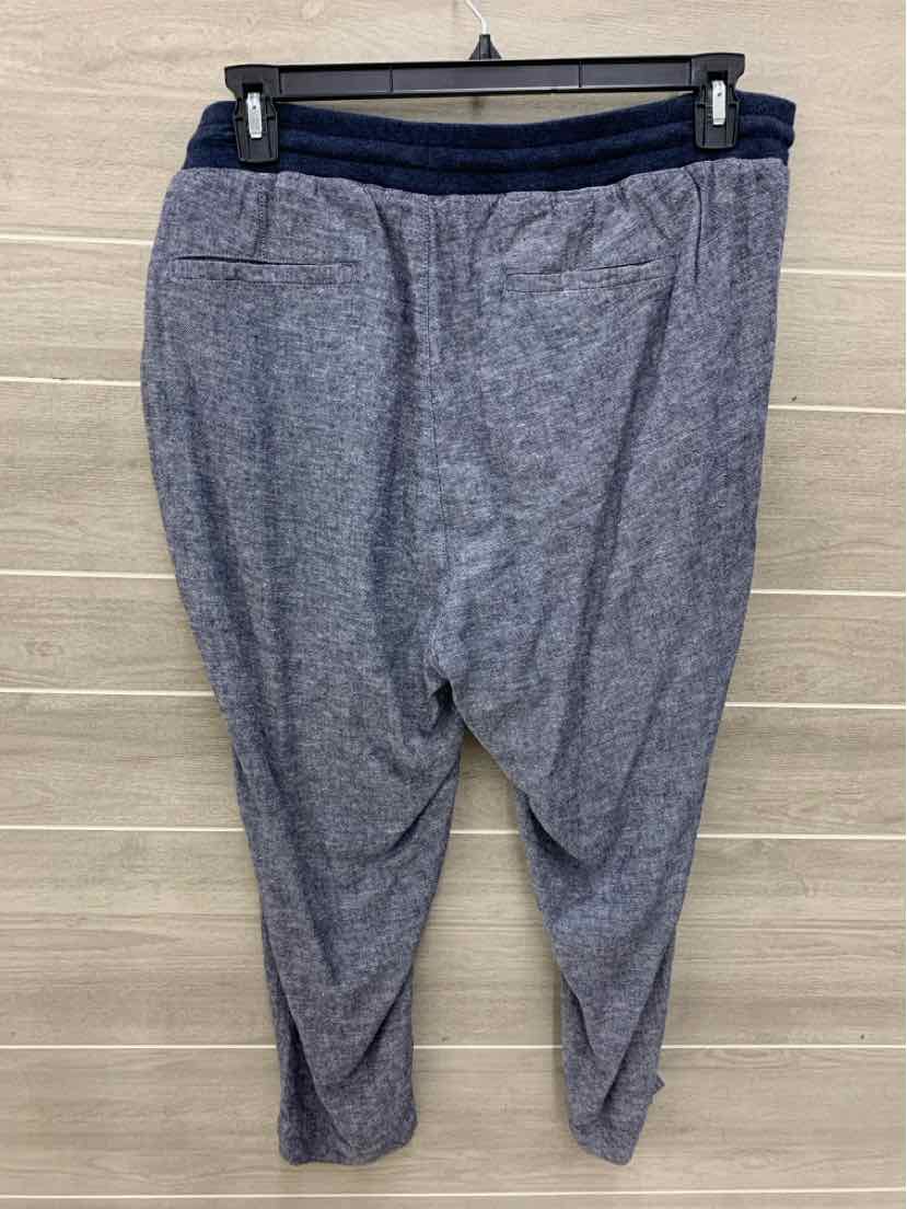 Susina Blue Womens Size 1X Pants