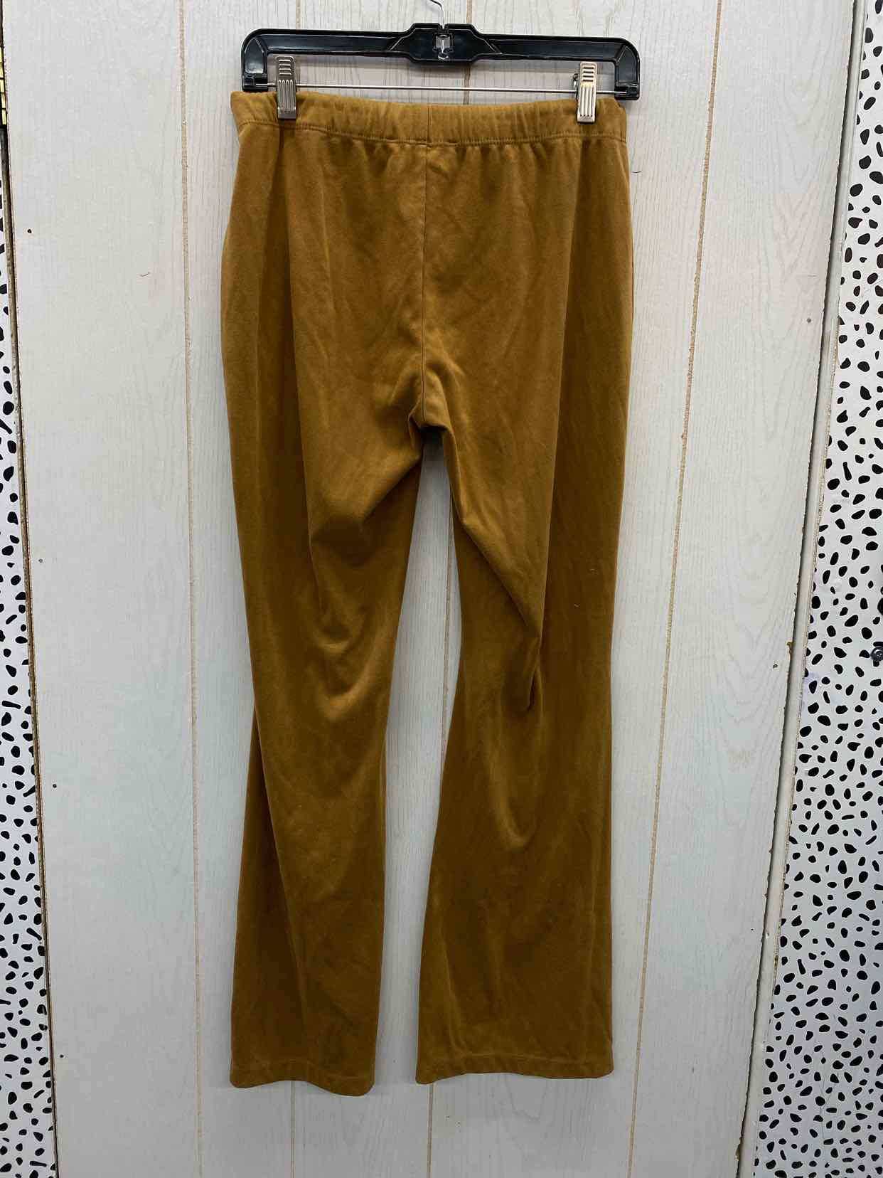 Brown Womens Size 6 Pants