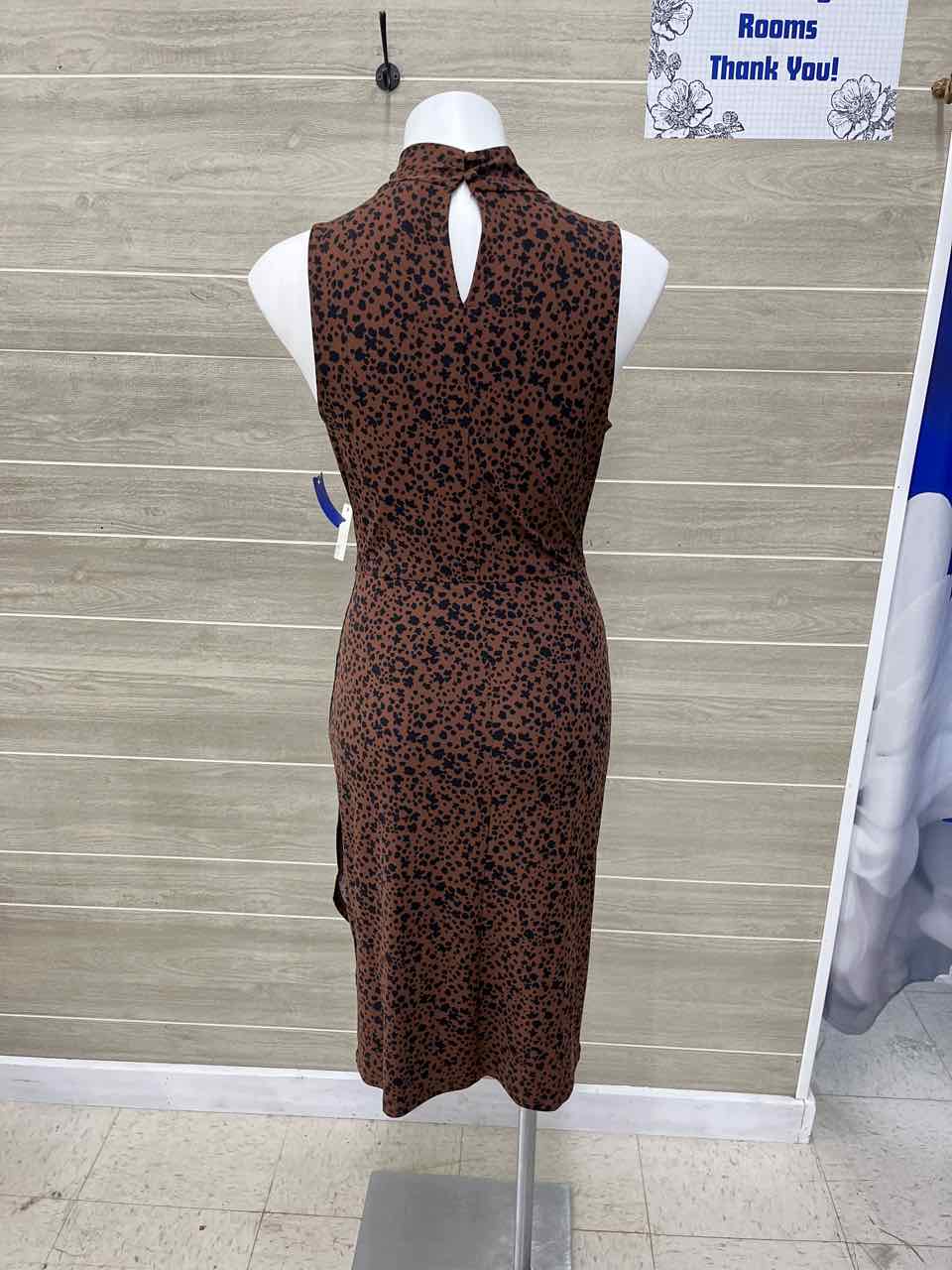 Amazon Size 6/8 Brown Womens Dress