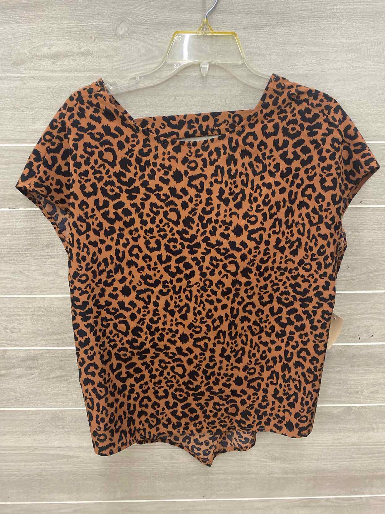 Brown Junior Size L Shirt