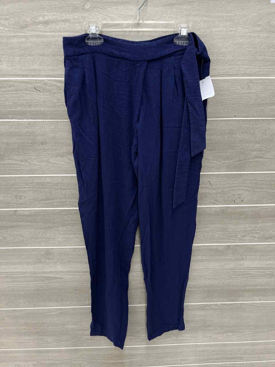 Blue Womens Size 4 Pants