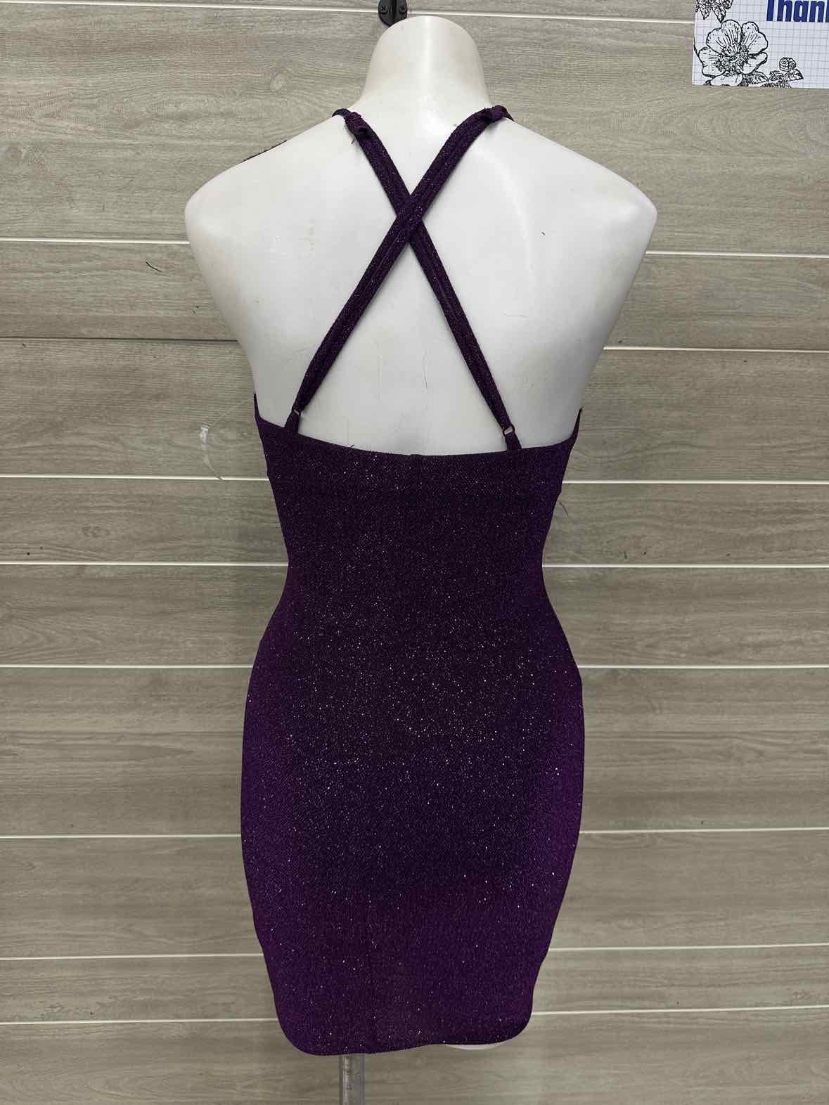 Size 2/4 Purple Womens Dress