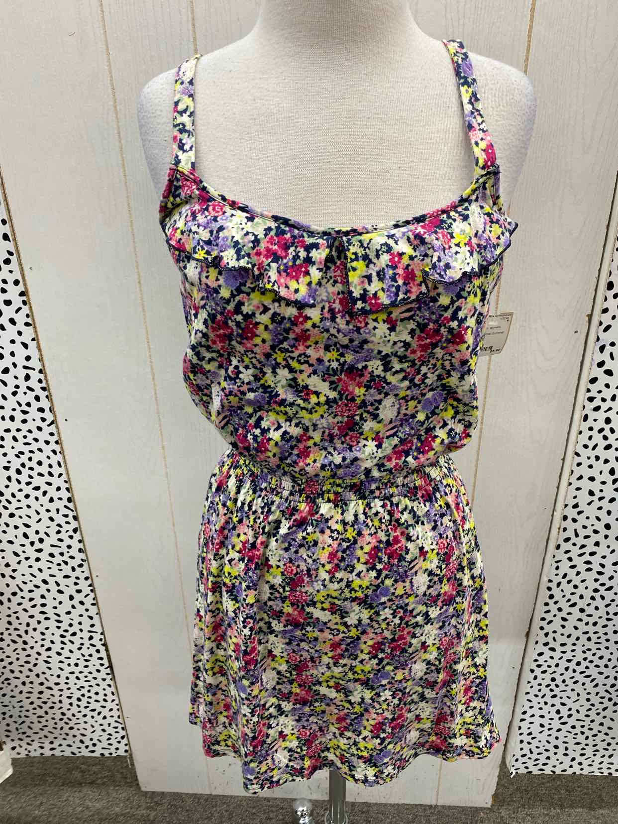 Express Multi-Color Womens Size 4 Dress