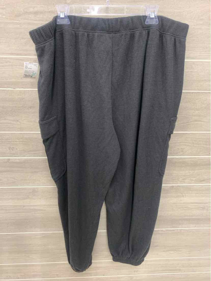 AERIE Gray Womens Size XXL Pants