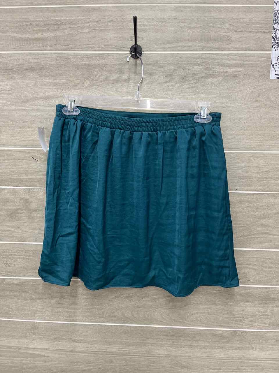 American Eagle Size 10/12 Teal Womens Skirt