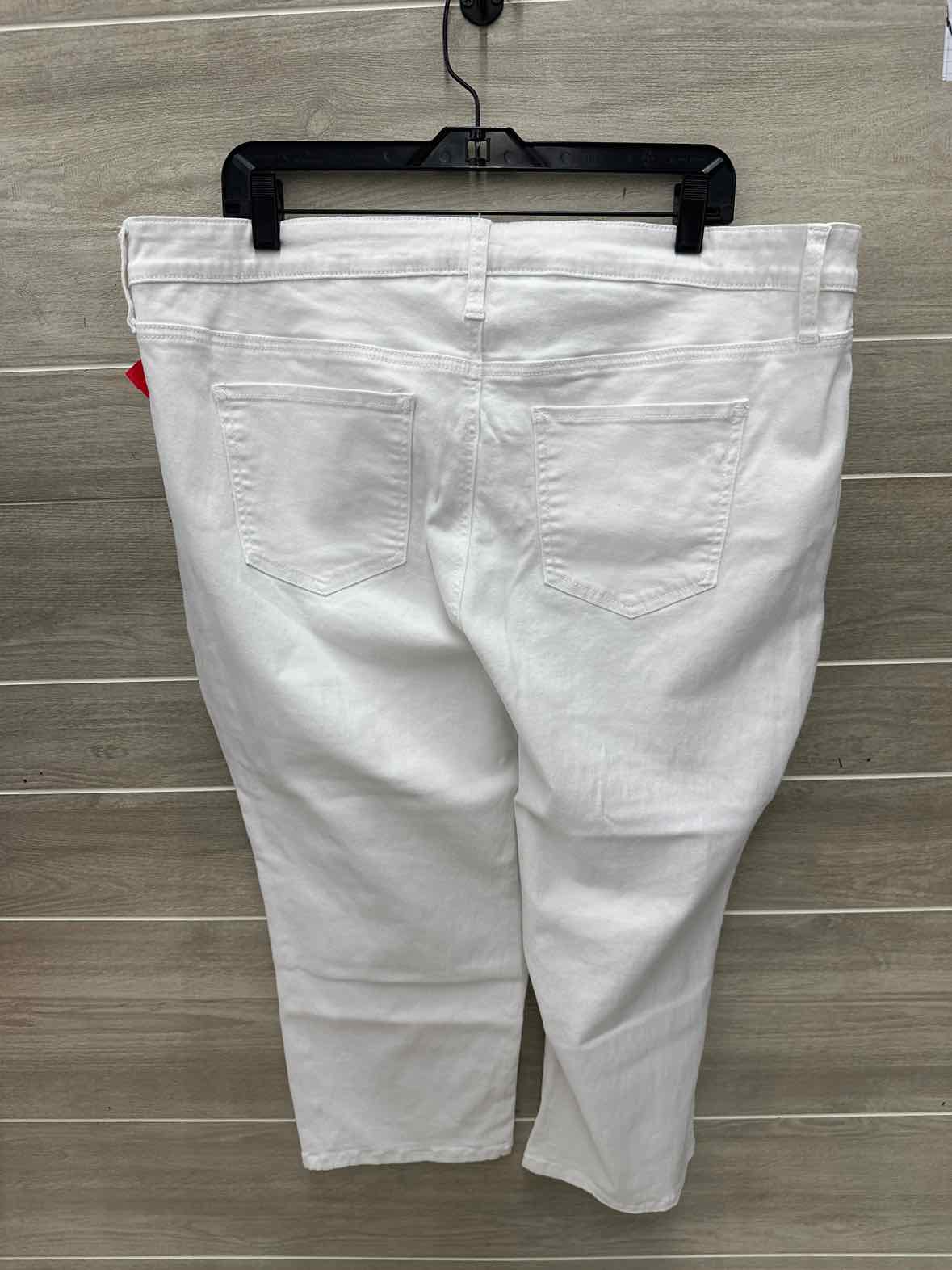Hydraulic Size 22W White Plus Pants