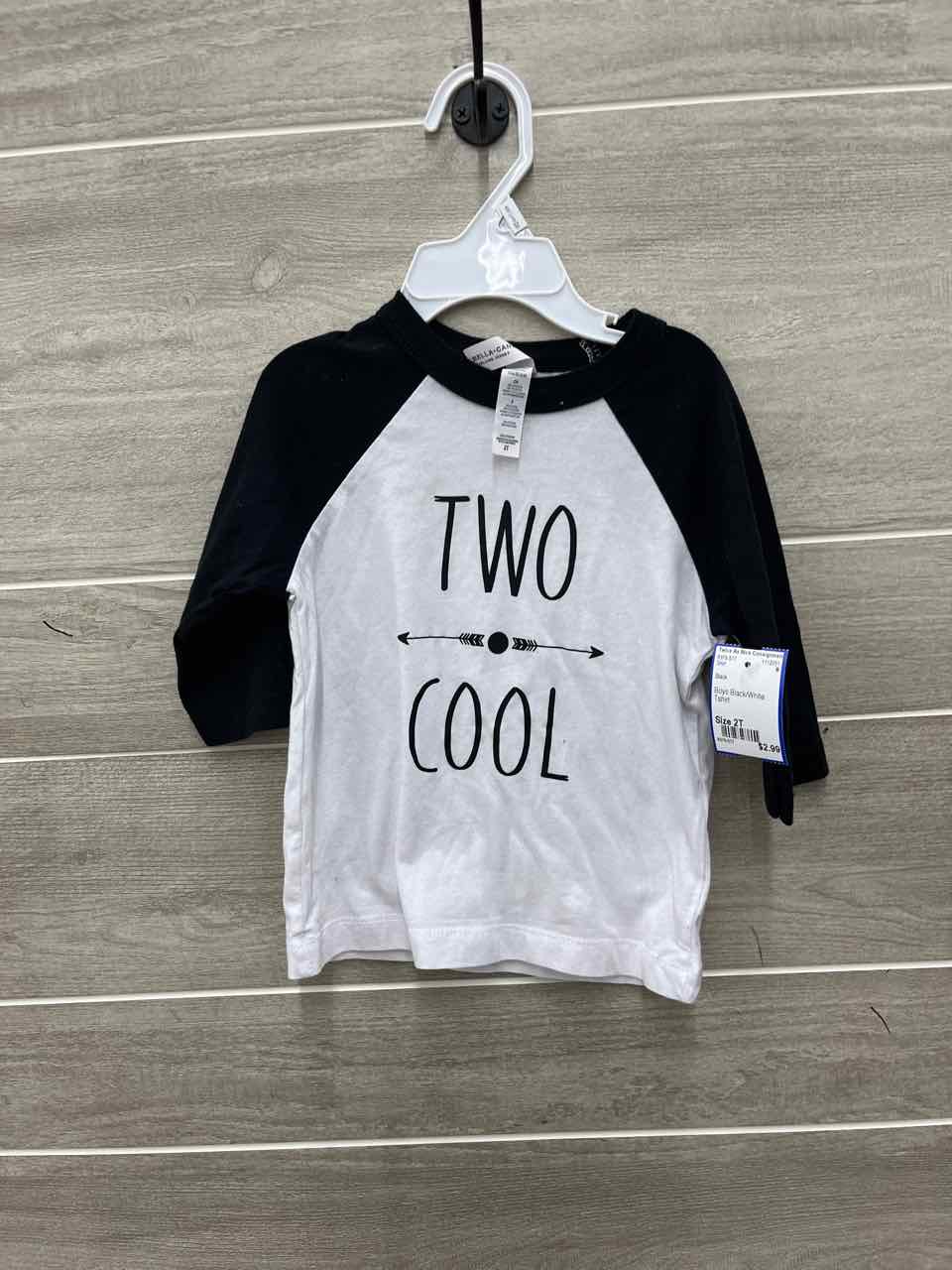 Boys Size 2T Shirt