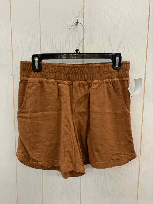 Maurices Brown Womens Size 6 Shorts