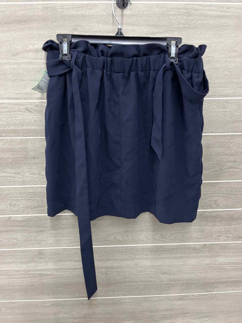 Express Size 12 Black Womens Skirt