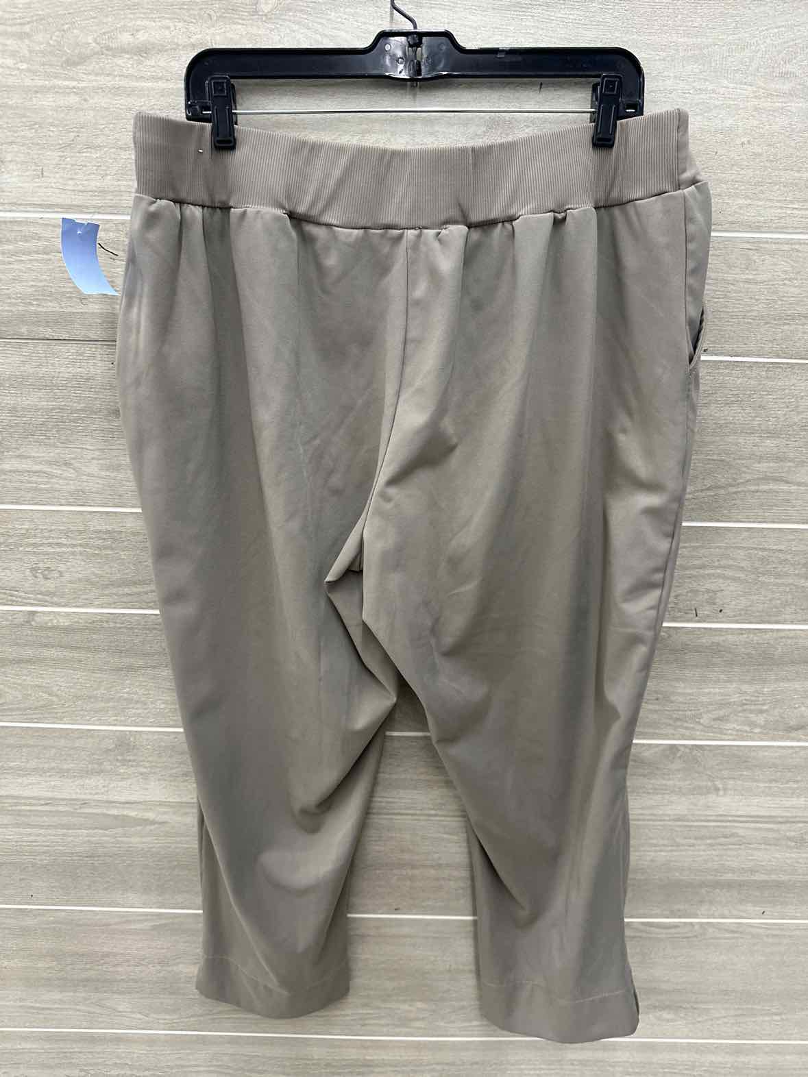 Zac & Rachel Size 1X Taupe Plus Pants
