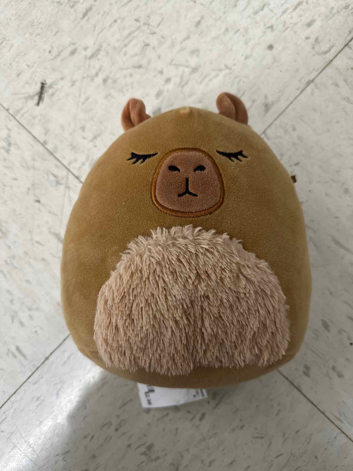 Toy