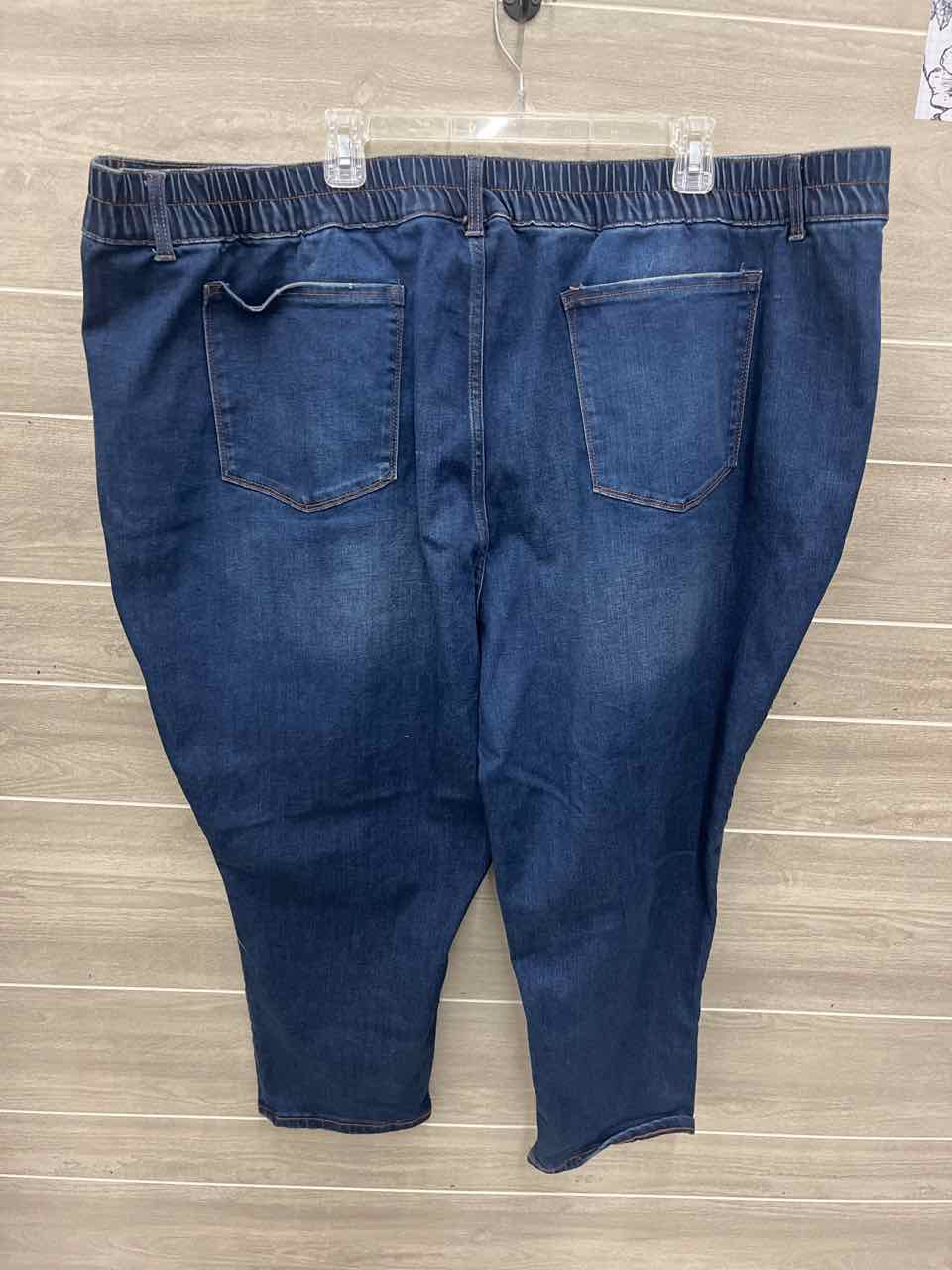 Terra & Sky Size 4X Blue Plus Jeans
