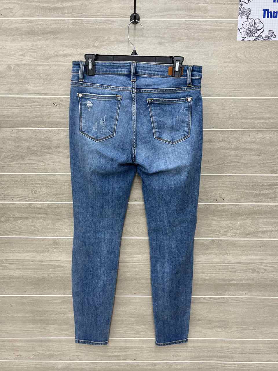 Judy Blue Blue Womens Women Size 9/10 Jeans