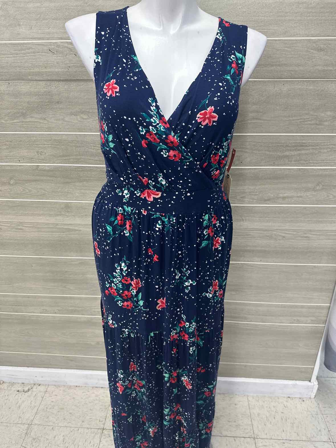 SJB Size 1X Blue Plus Dress