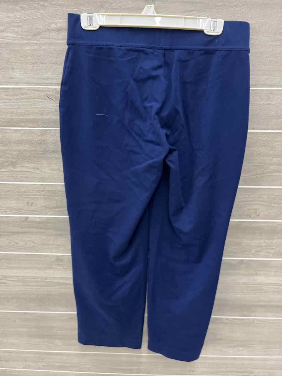Lands End Size 12P Navy Petite Pants