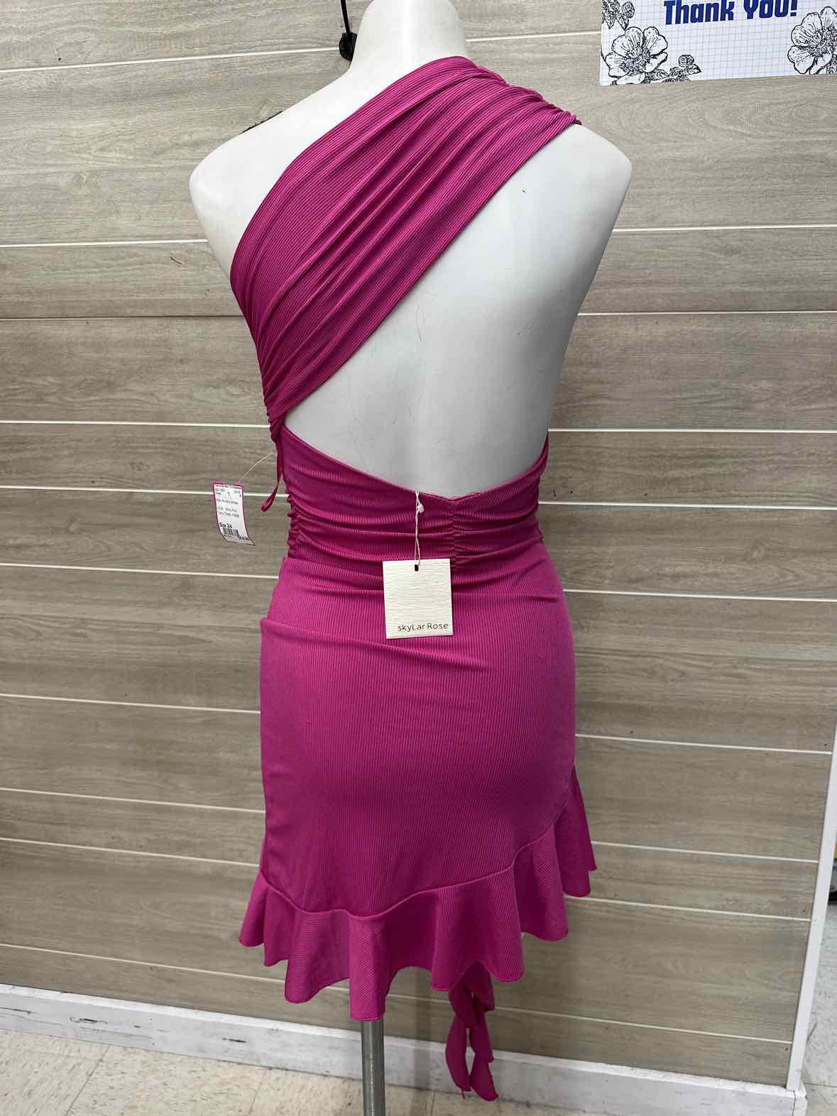 Size 2/4 Pink Womens Dress