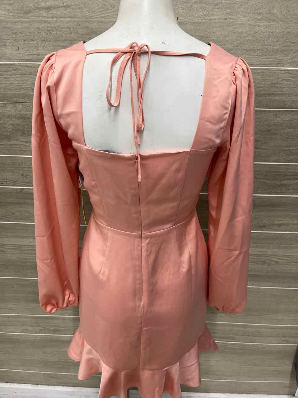 Forever 21 Size 4/6 Pink Womens Dress