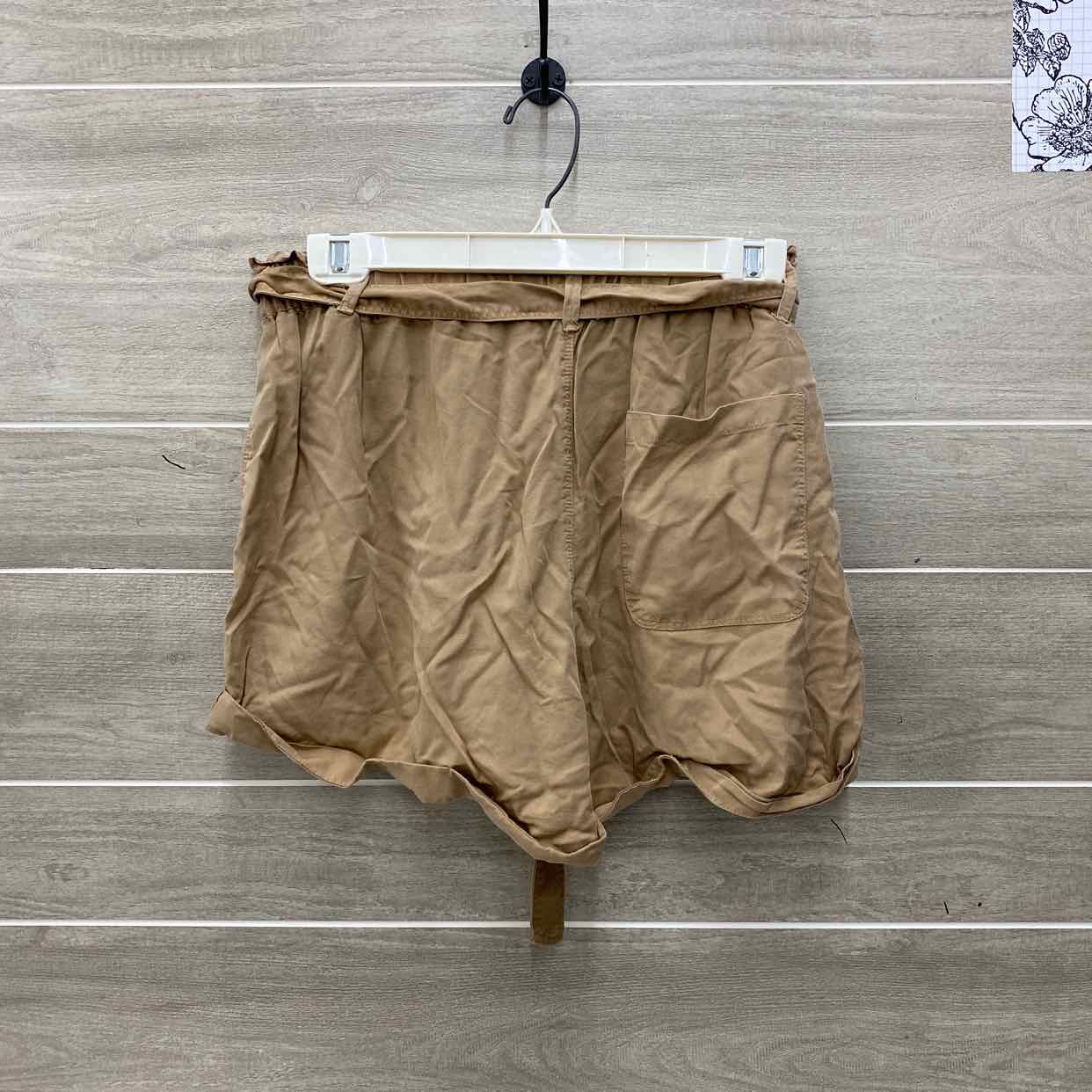 AERIE Tan Womens Size 8/10 Shorts