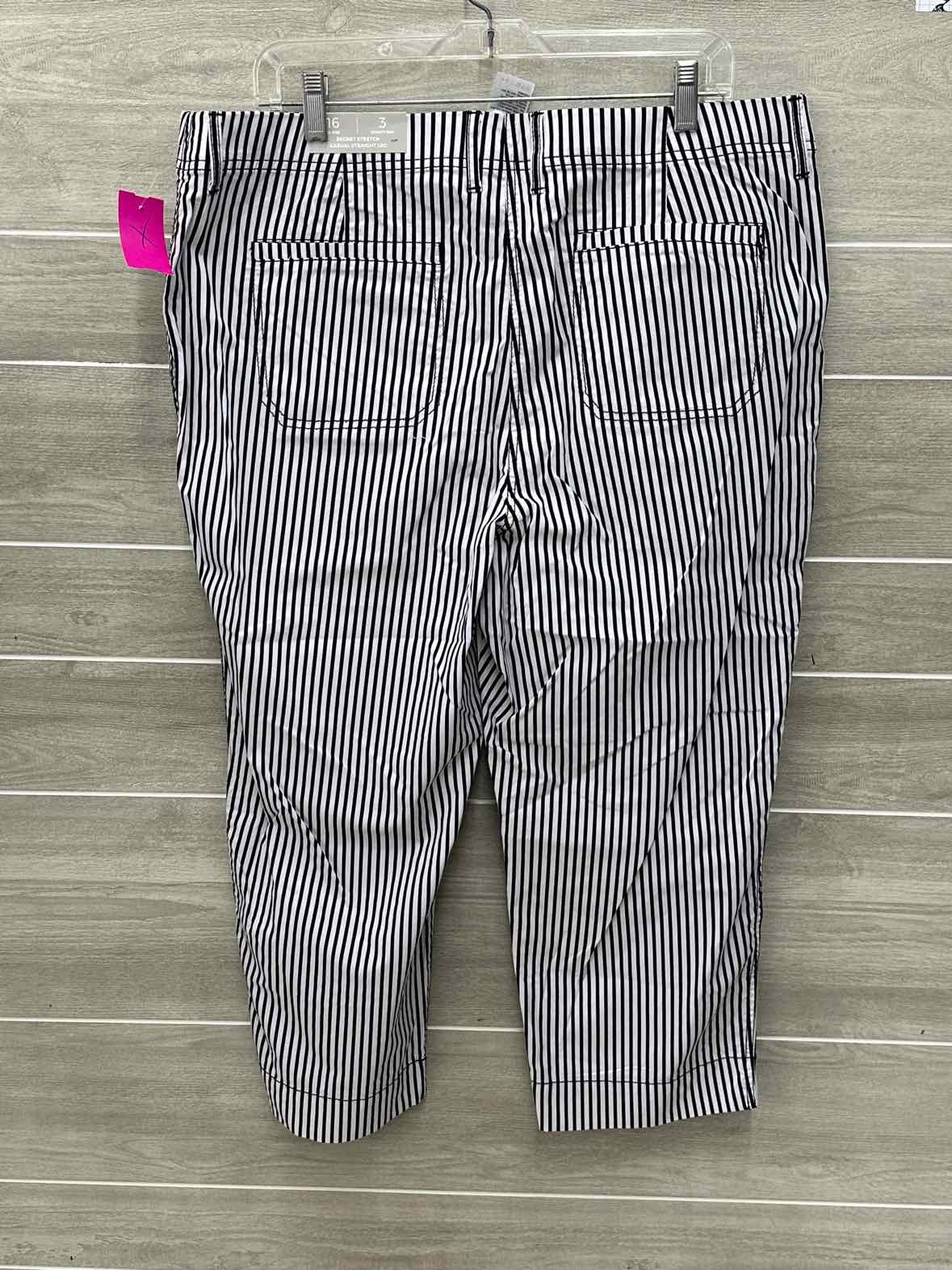 Chico's Blue Womens Size 16 Pants