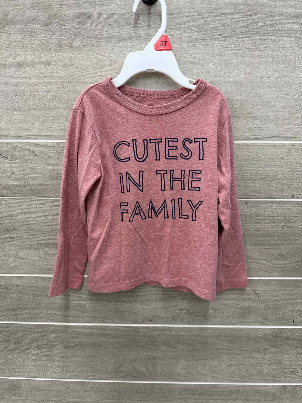 Childrens Place Boys Size 2T Shirt