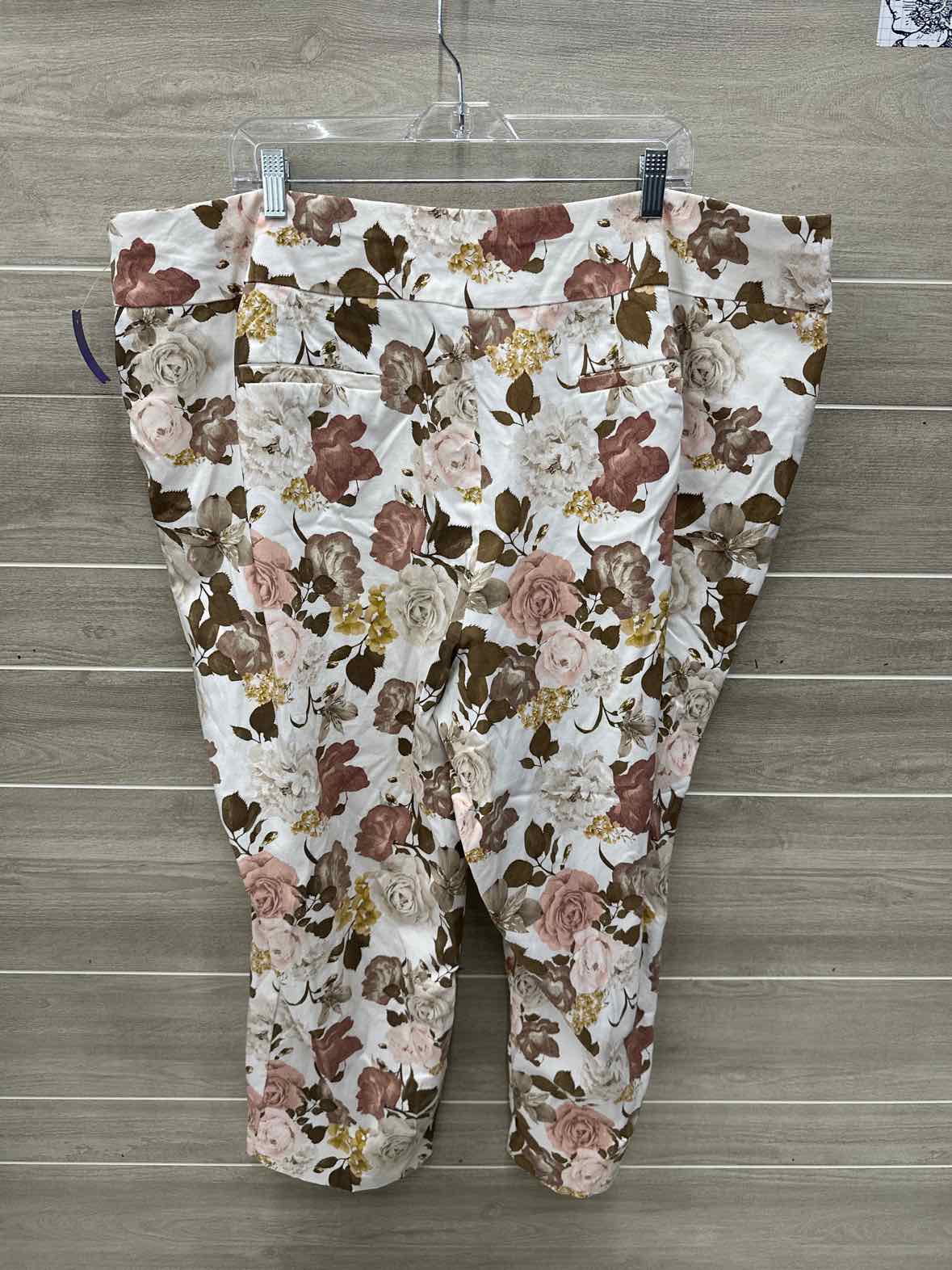 CATO Size 26W Cream Plus Pants