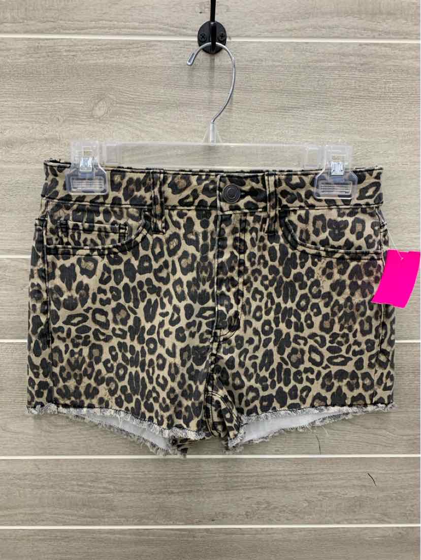 So Tan Junior Size 5 Shorts