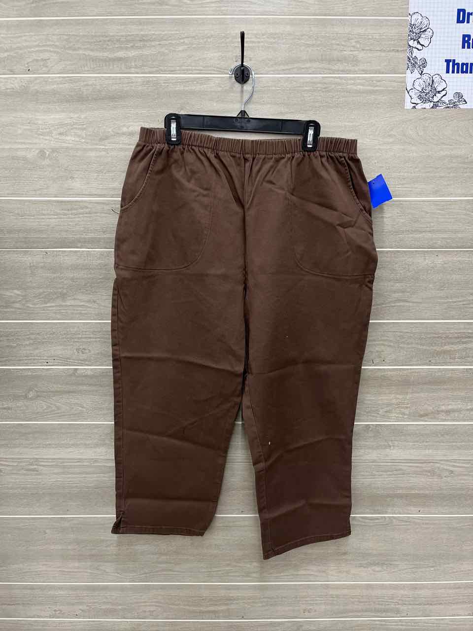 D & Co Size 20P Brown Plus Pants