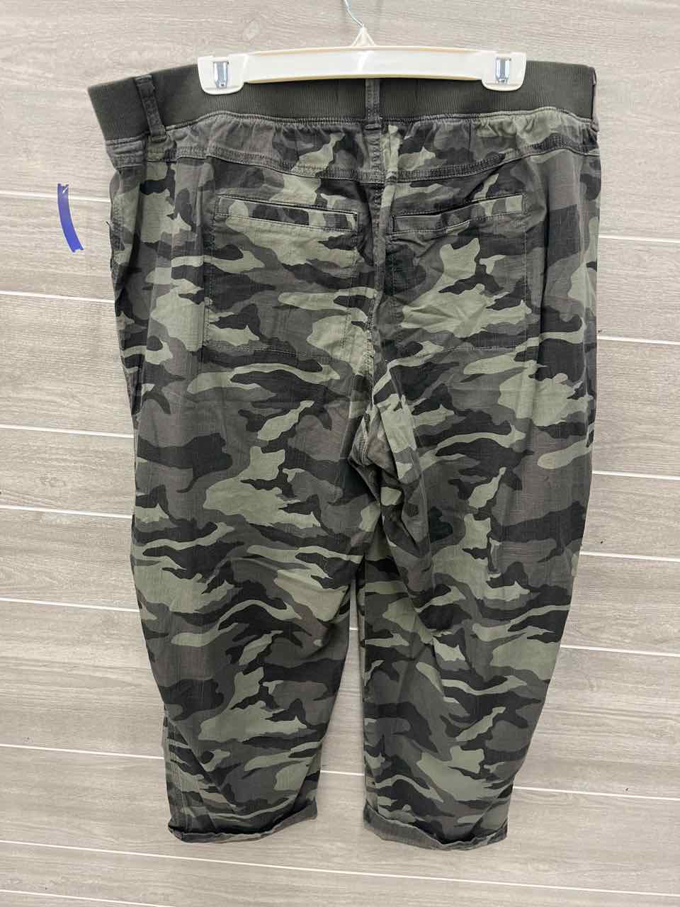 Sonoma Size 18W Olive Plus Pants