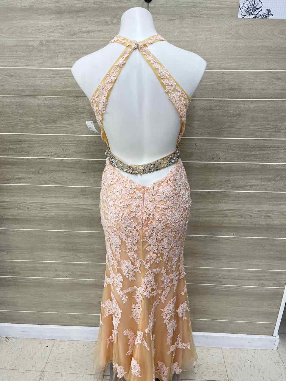 Size 8 Pink Womens Gown/Evening Wear