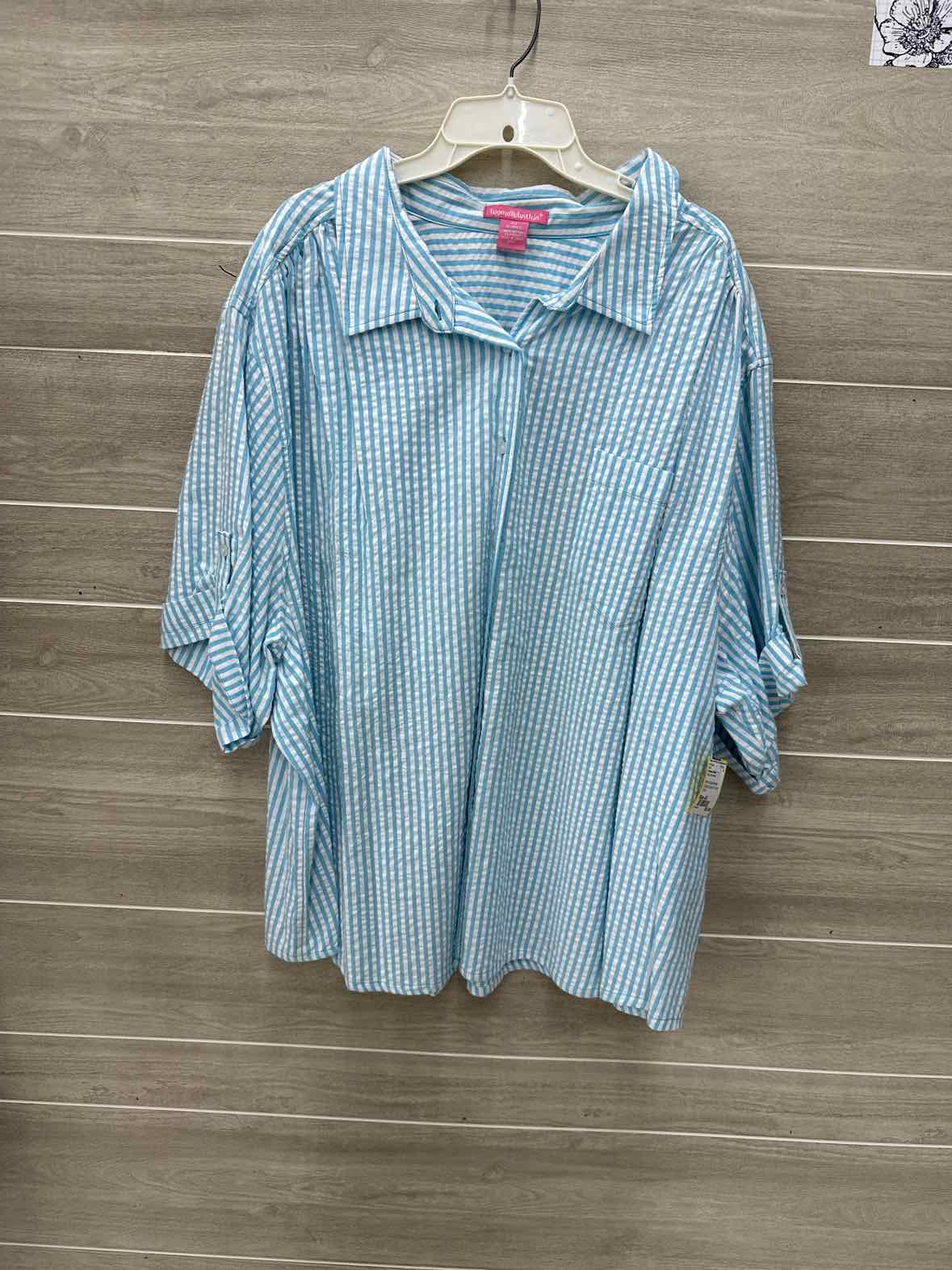 Woman Within Blue Womens Size 4X Shirt