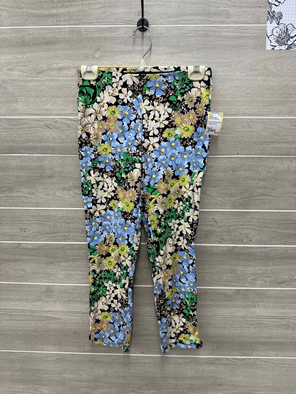 Jules & Leopold Multi-Color Womens Size 6 Leggings