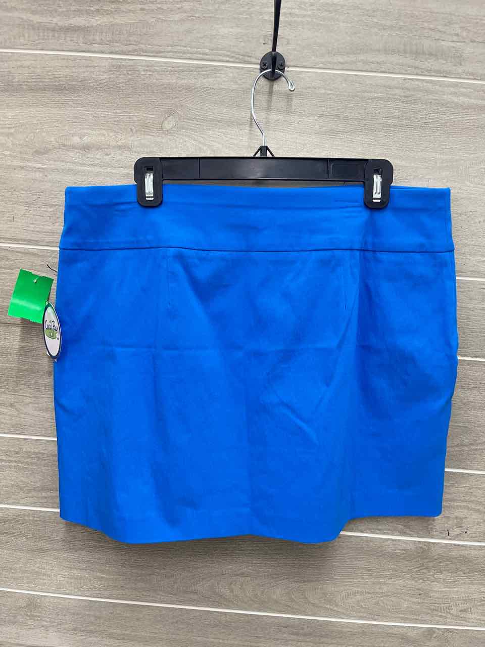 Coral Bay Size L Blue Womens Skirt