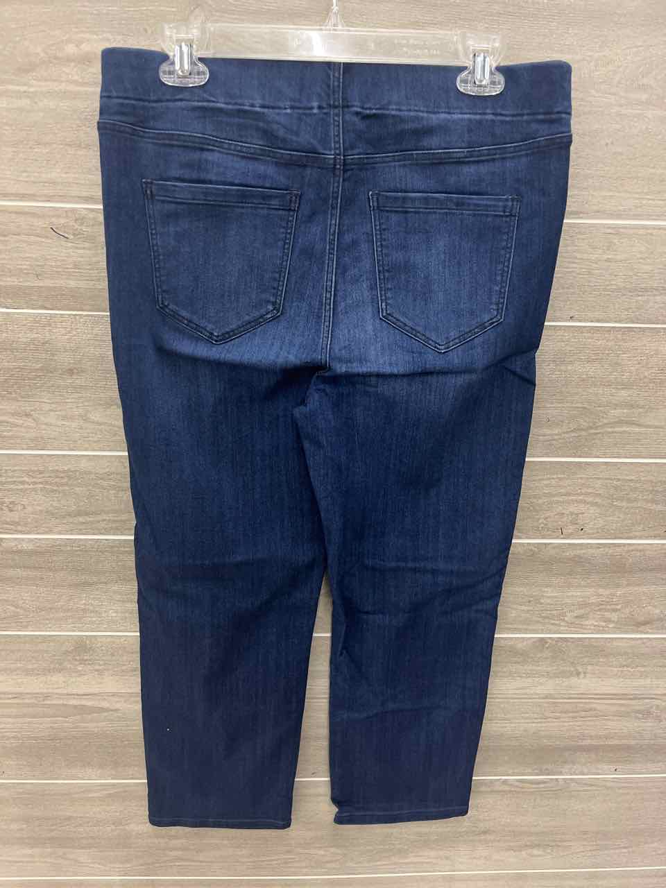 Liverpool Blue Womens Women Size 10 Jeans