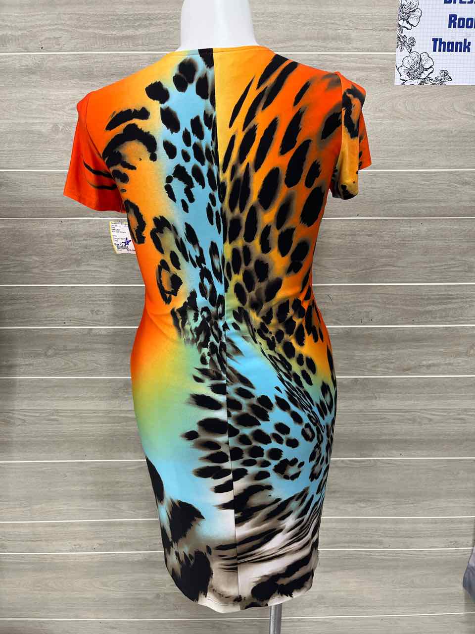 Frank Lyman Multi-Color Womens Size 12 Dress