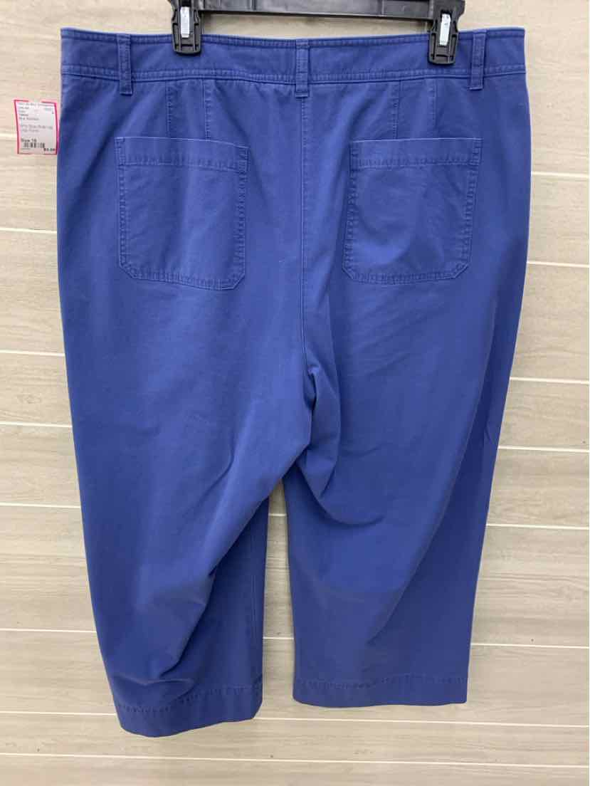 Talbots Blue Womens Size 16 Pants