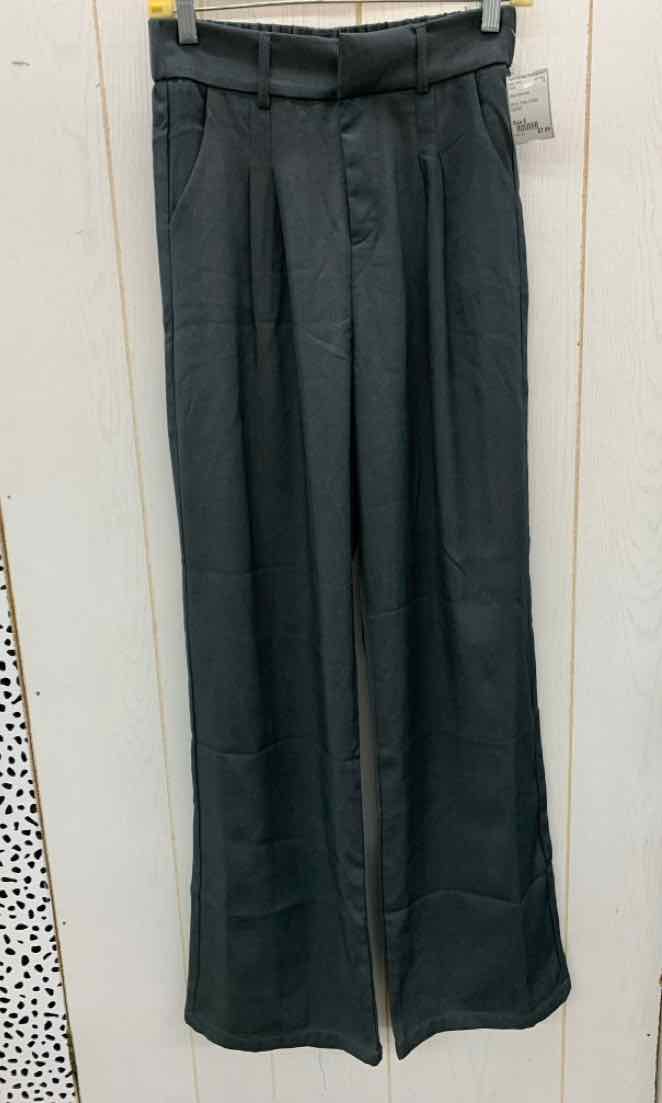 Gray Womens Size 6 Pants