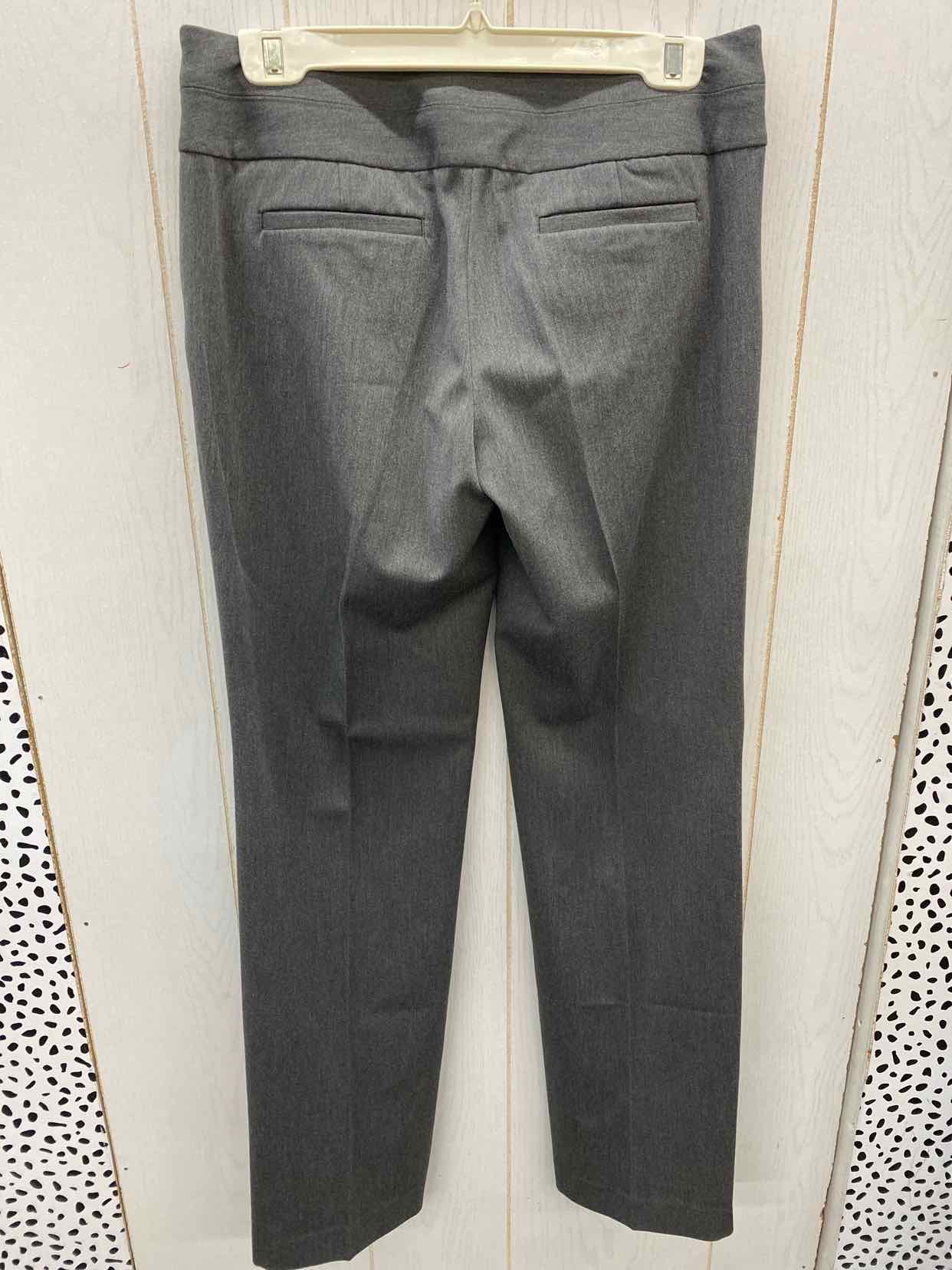 Express Gray Womens Size 8 Pants