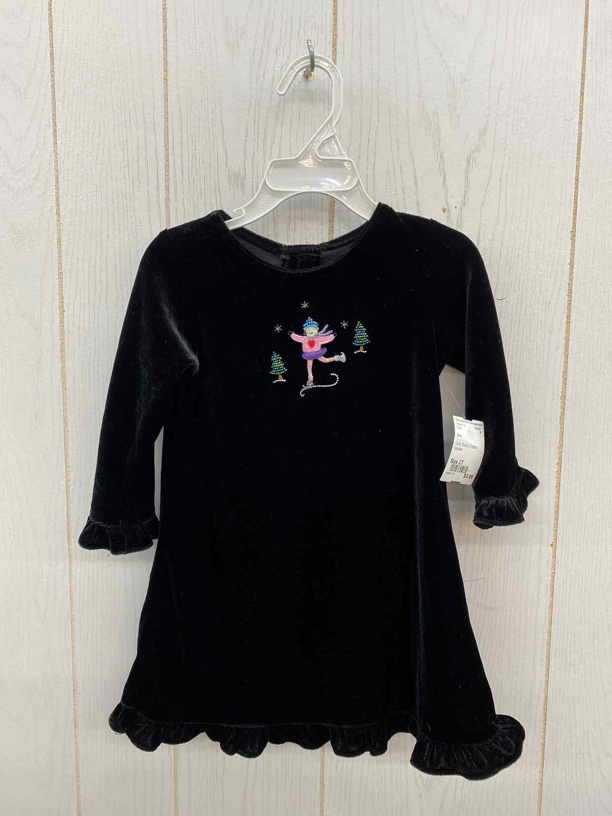 Girls Size 2T Dress