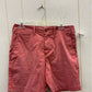 American Eagle Size 30 Mens Shorts